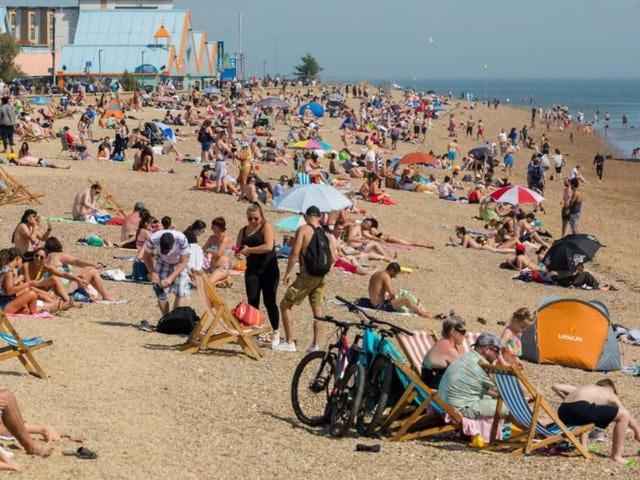 Seafront Suites - Close To Beach, Train Station & Southend Airport Southend-on-Sea Exteriör bild